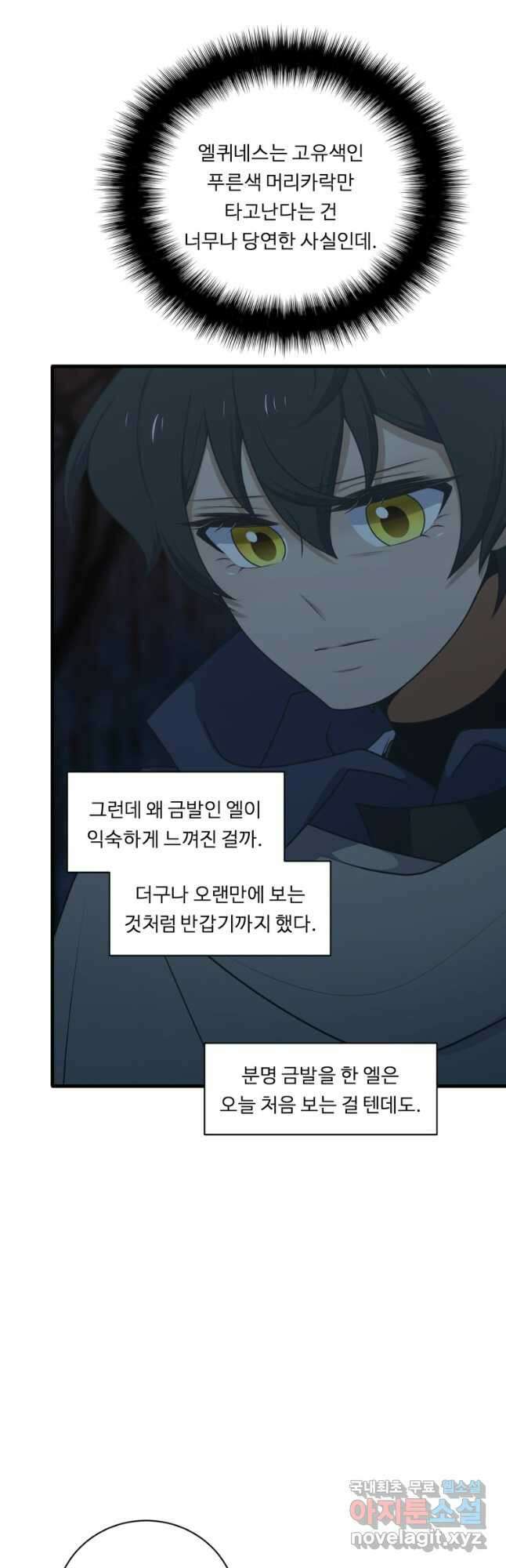 정령왕 엘퀴네스 245화 28