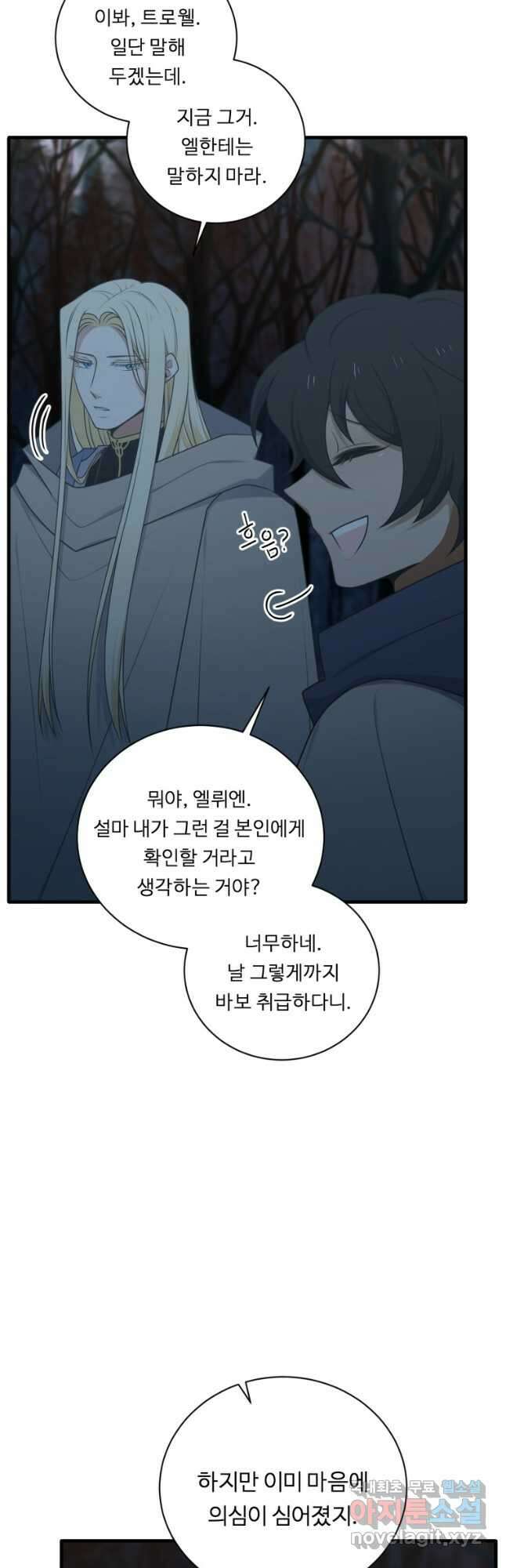 정령왕 엘퀴네스 245화 29
