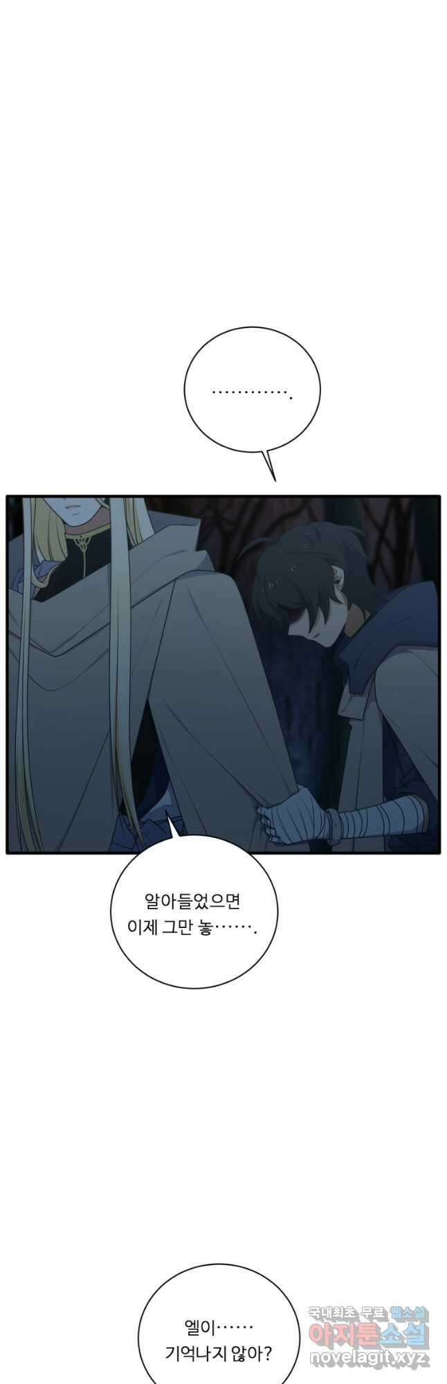 정령왕 엘퀴네스 245화 35