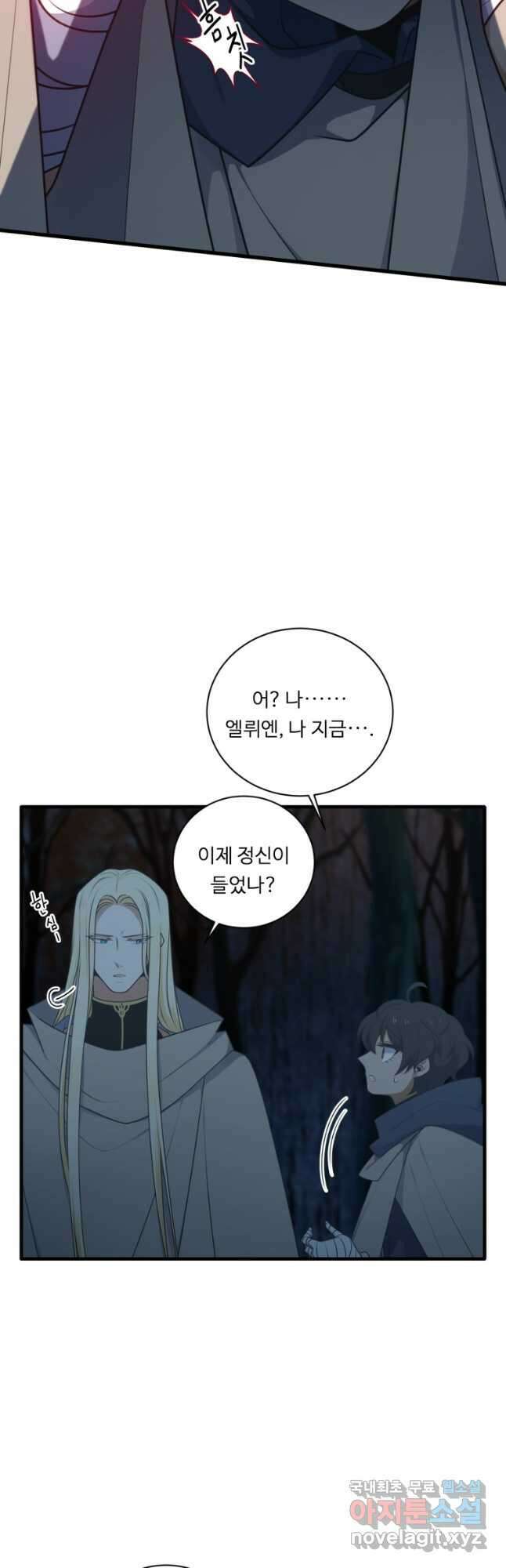 정령왕 엘퀴네스 245화 41