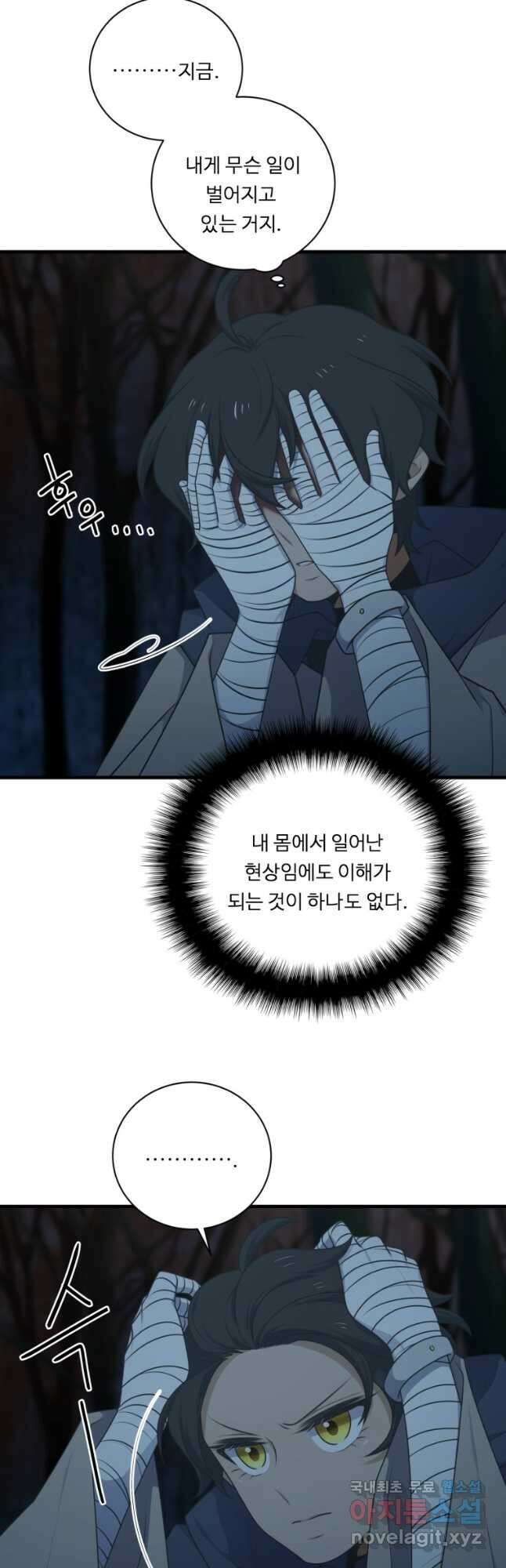정령왕 엘퀴네스 245화 42