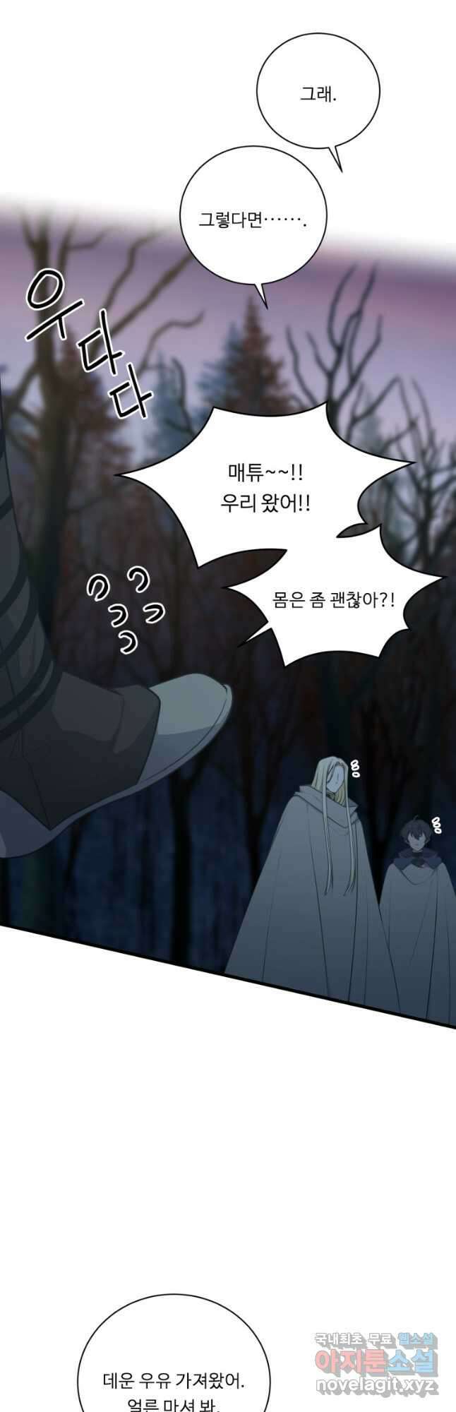 정령왕 엘퀴네스 245화 50