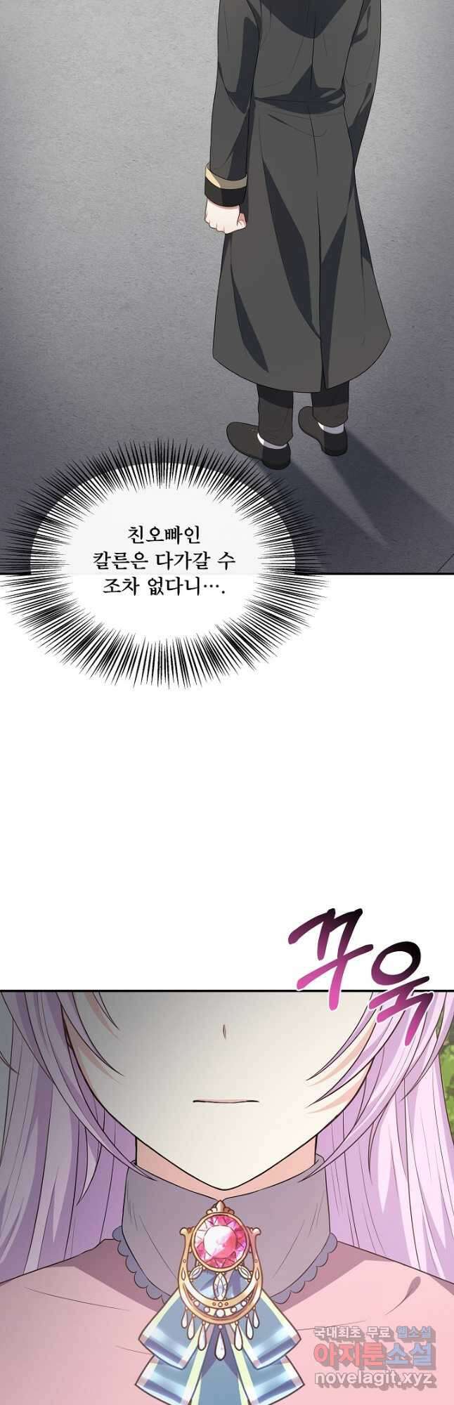 후회 남주의 시한부 누나가 되었다 33화 11
