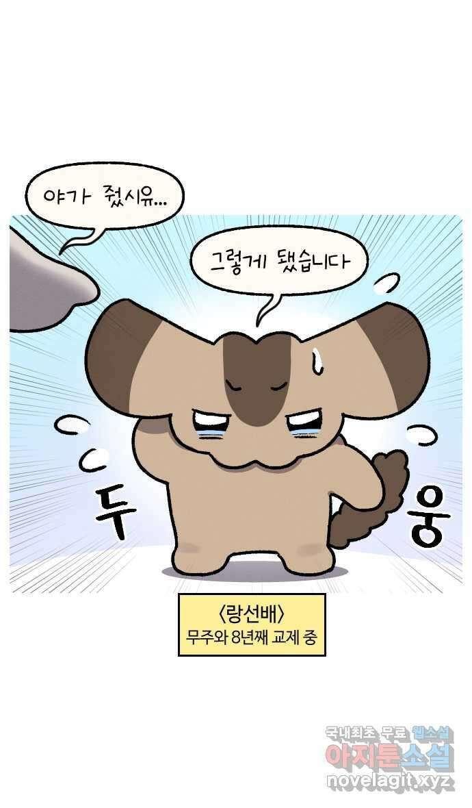 안녕, 나의 수집 44. 기념일 곰인형 (1) 4