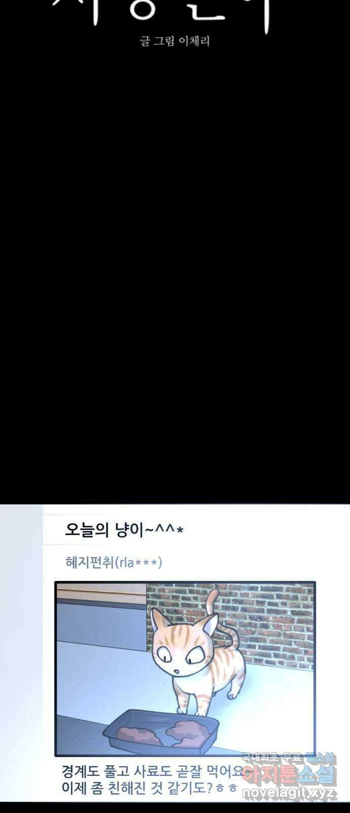 사공은주 38화) 전염병이라니 13