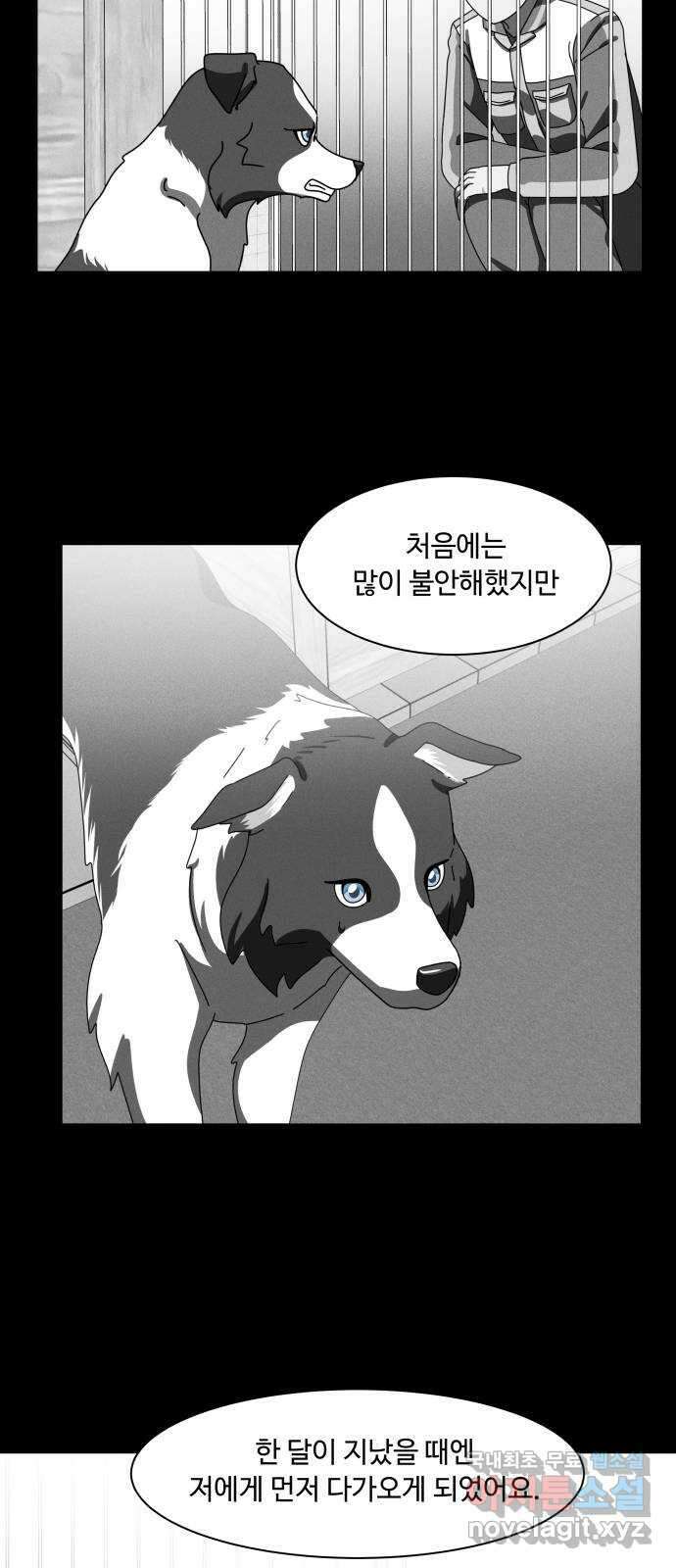 개를 낳았다 시즌2 135화 6