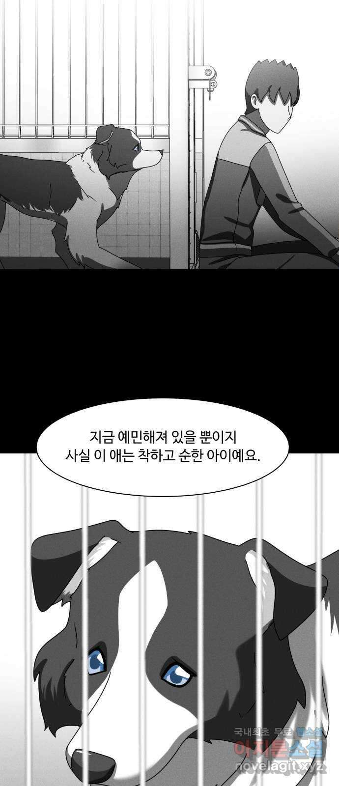 개를 낳았다 시즌2 135화 7
