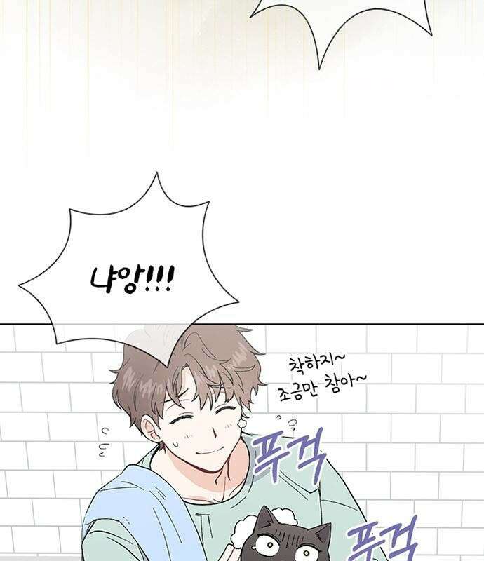 고양이 키스 3화 15