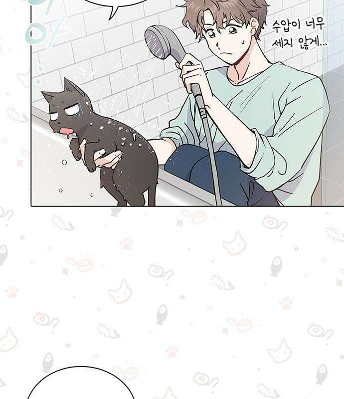 고양이 키스 3화 17
