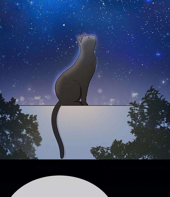 고양이 키스 3화 39