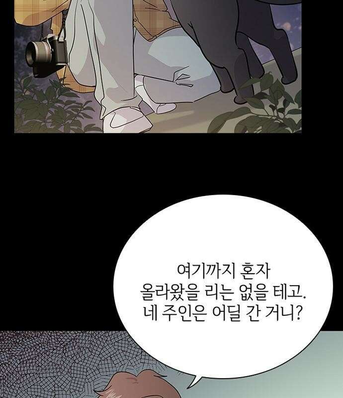 고양이 키스 3화 42