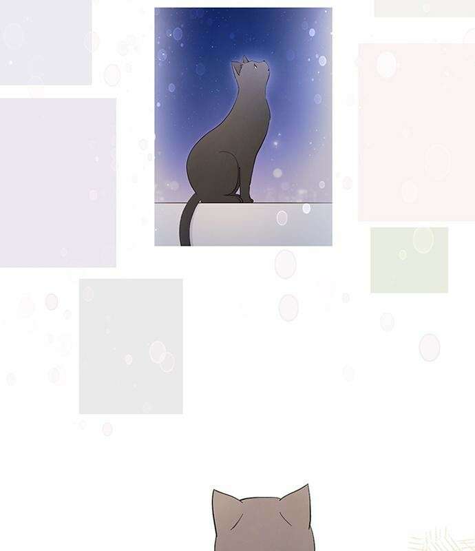 고양이 키스 3화 51