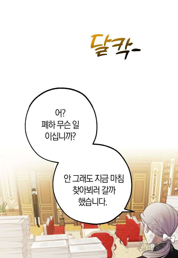 황녀님의 인형가게 45화 11