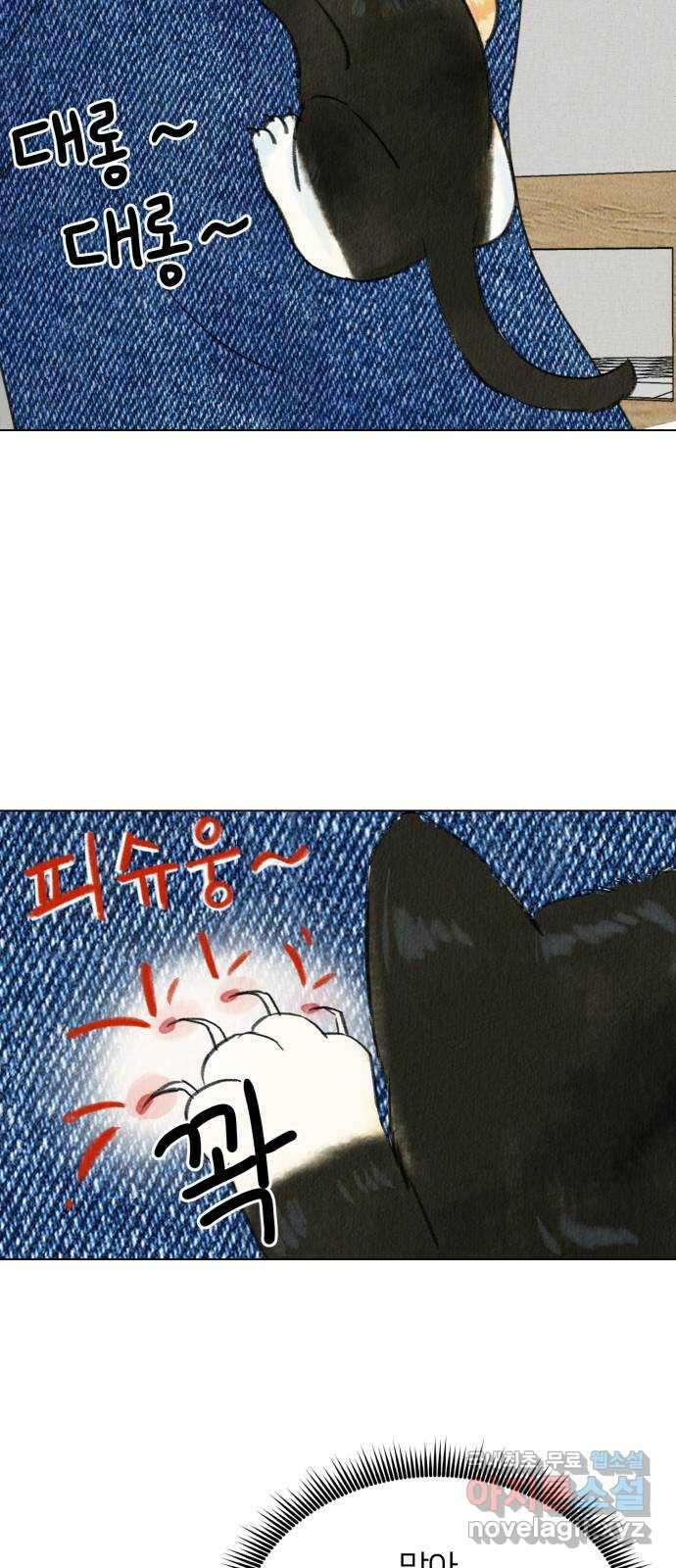 우리 집 고양이 보고 갈래? 4화 6