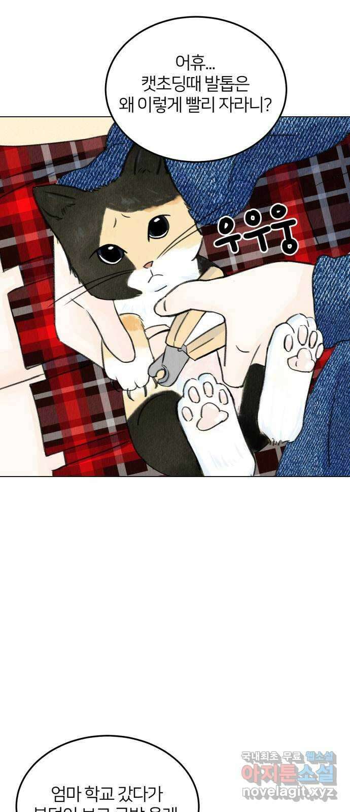 우리 집 고양이 보고 갈래? 4화 8