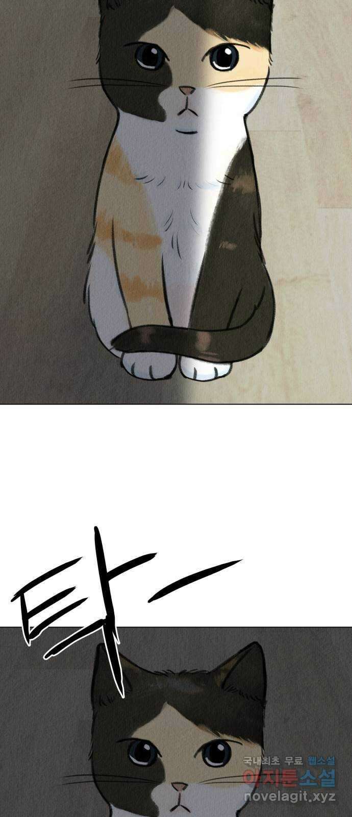우리 집 고양이 보고 갈래? 4화 10