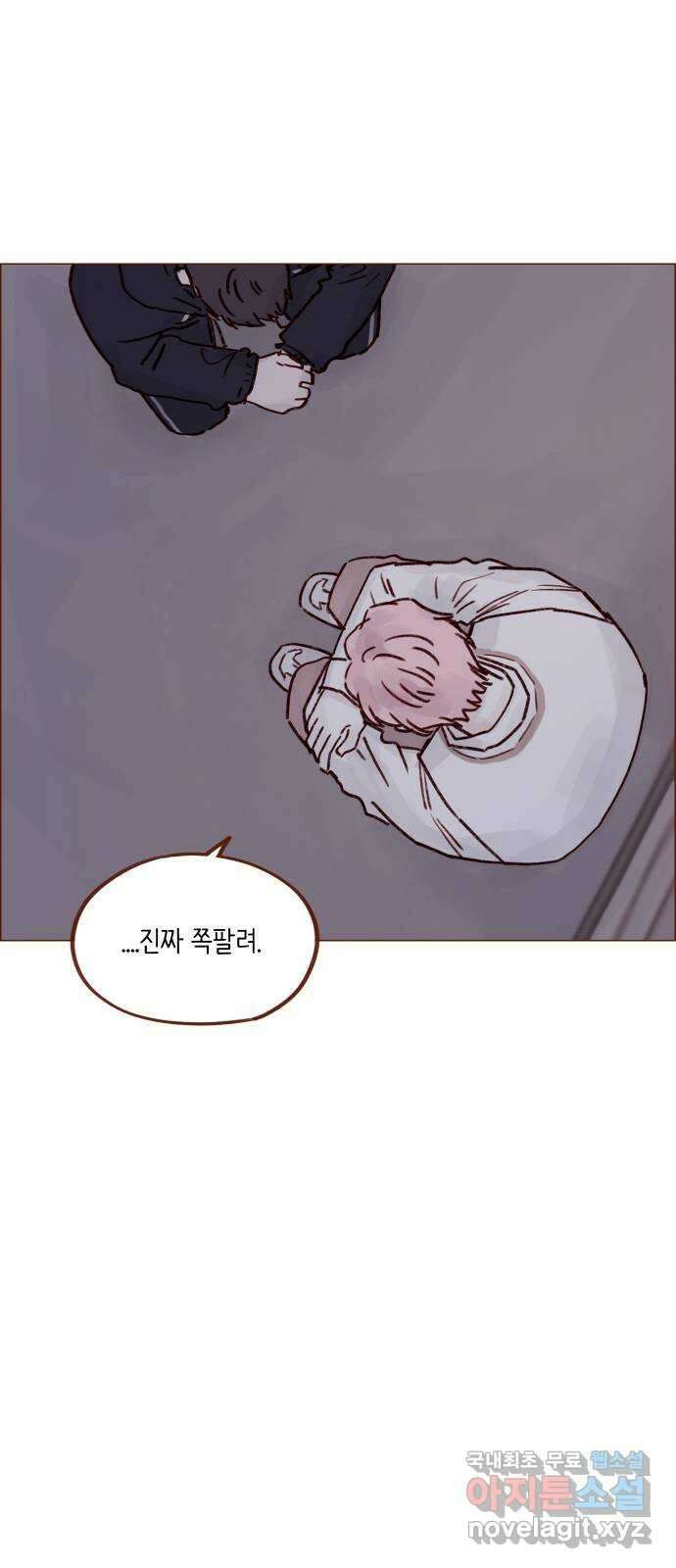 홍시는 날 좋아해! 229화 : 내가 너한테 관심 있다고 했다 19