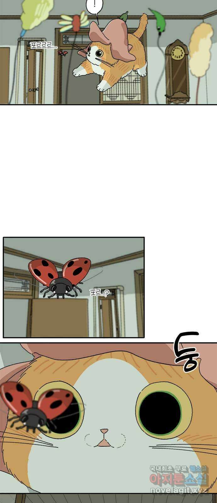고양이 타타 9화 35