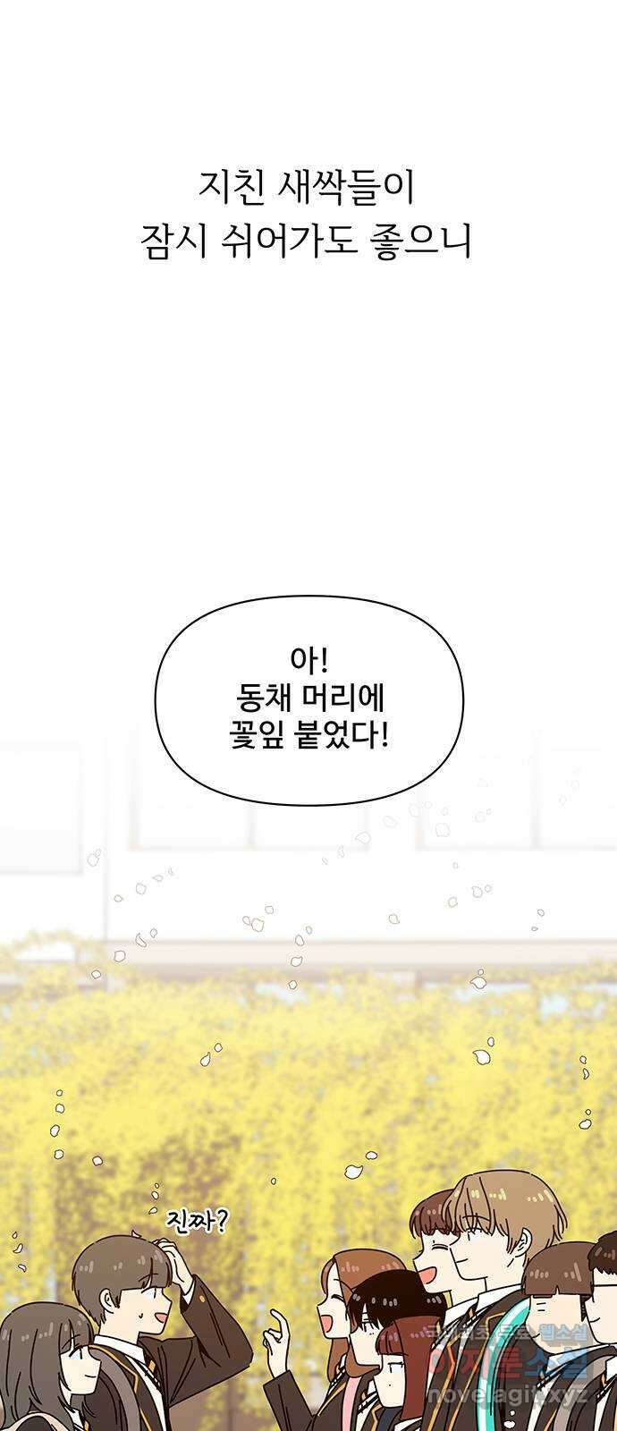 청춘 블라썸 128화(완): EP.4 동채의 꽃 (33) 59