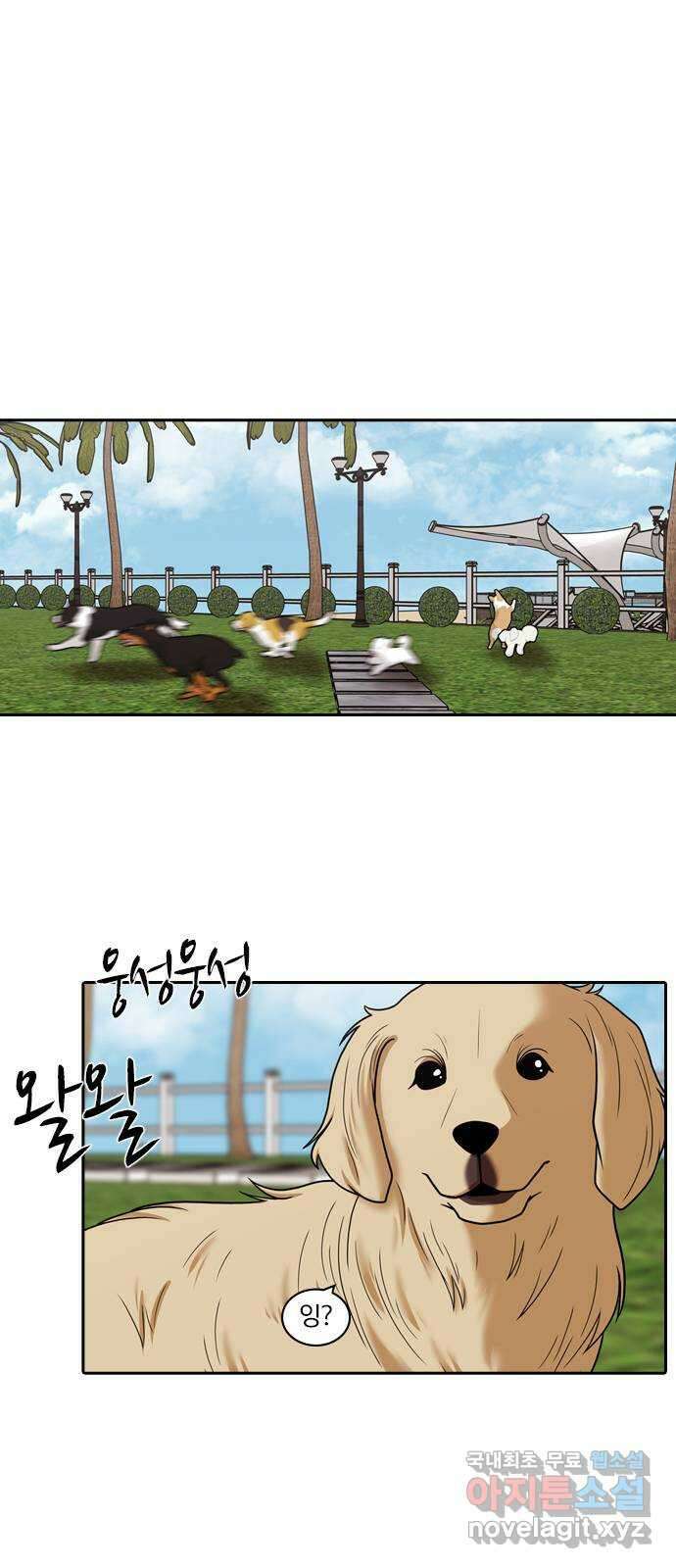 내일 292화 남아주세요 (11) 12