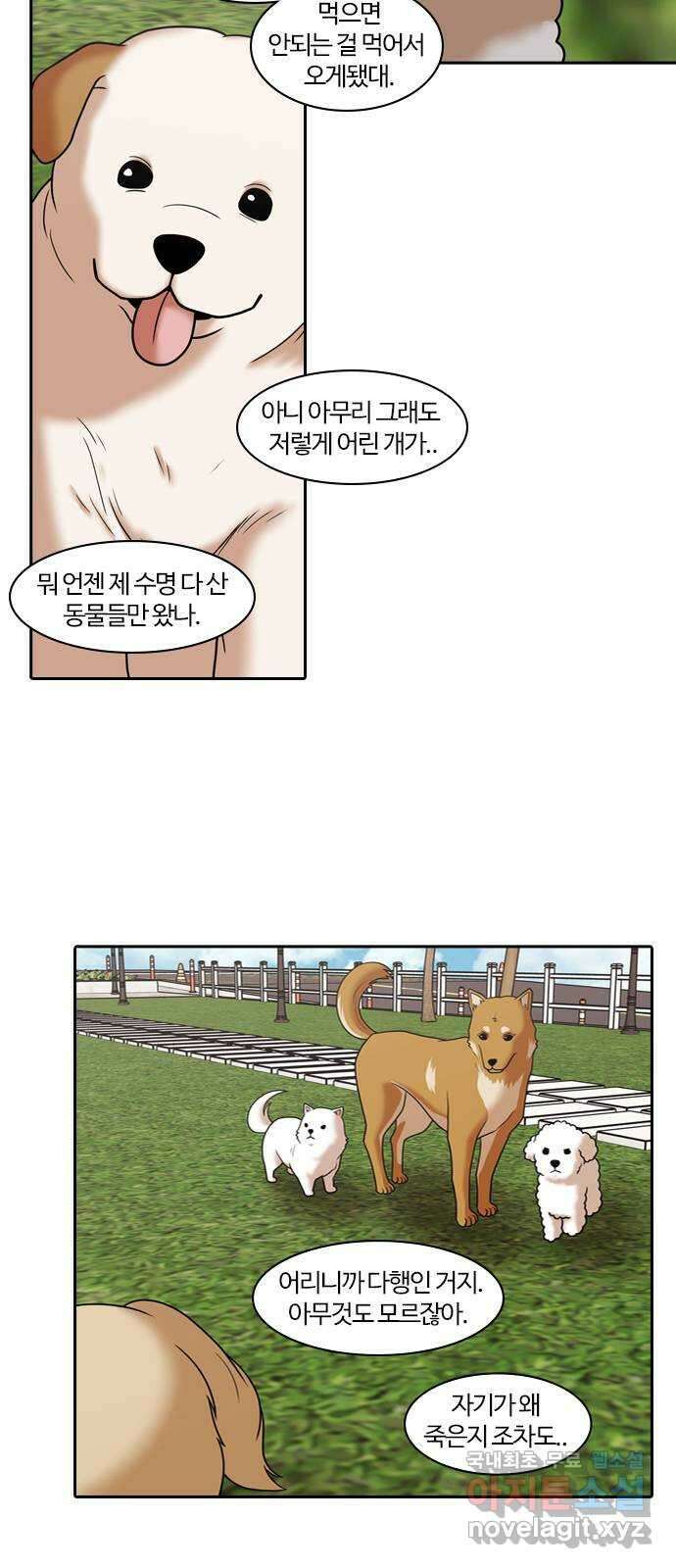 내일 292화 남아주세요 (11) 14