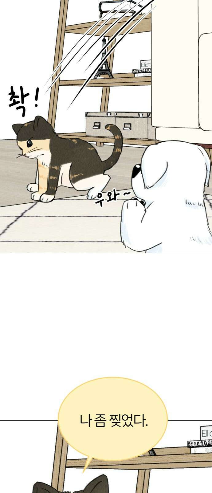 우리 집 고양이 보고 갈래? 9화 13