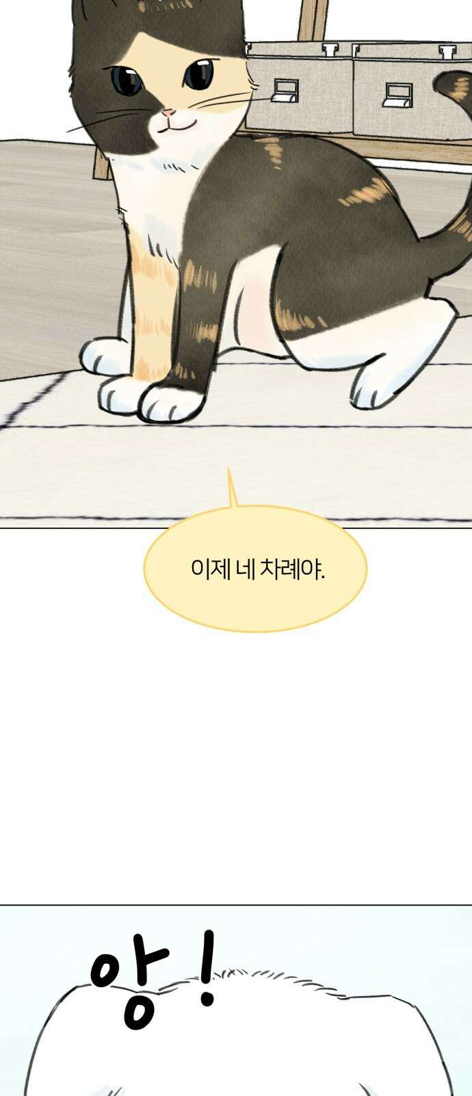 우리 집 고양이 보고 갈래? 9화 14