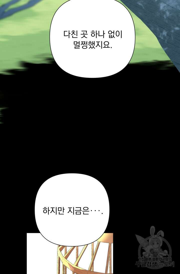 작가님, 이번 생은 여주인공입니다 44화 27