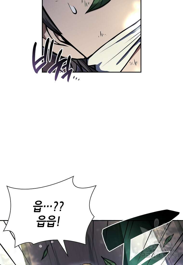 회귀했는데 FFF급 부두술사 20화 2