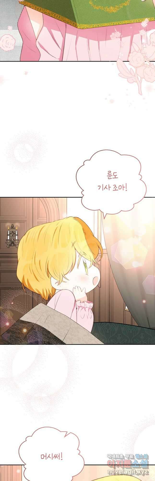 그 남자는 제 친오빠인데요, 공작님 43화 8