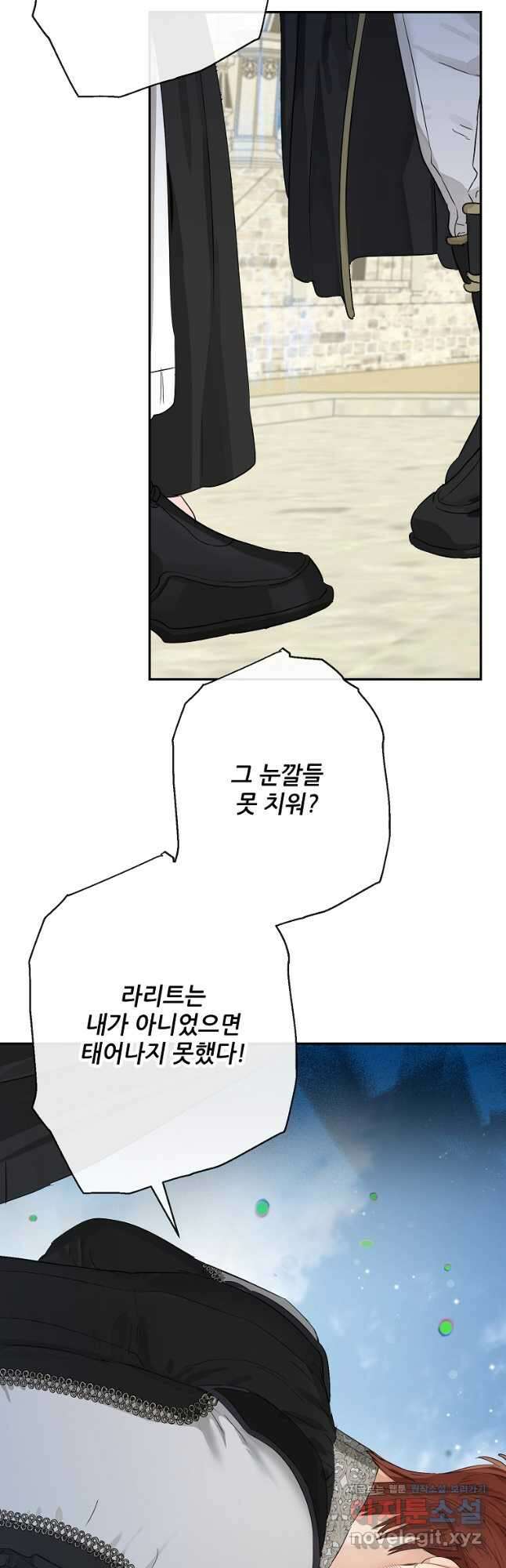 백작가의 사생아가 결혼하면 49화 7