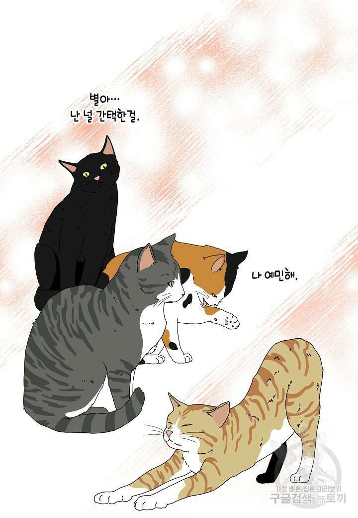 열애의 품격 47화 14