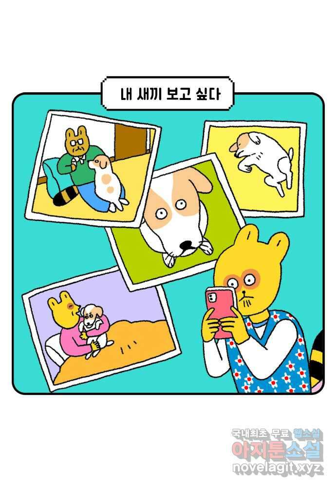 루루라라 우리네 인생 51화 그의 소식 1