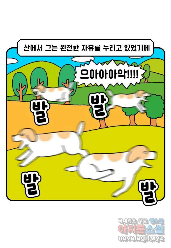 루루라라 우리네 인생 51화 그의 소식 4