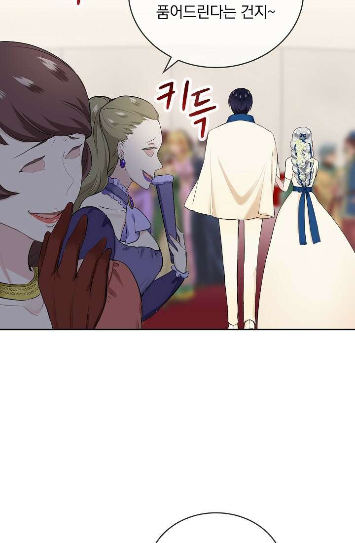 눌리타스 : 절반의 백작 영애 83화 12