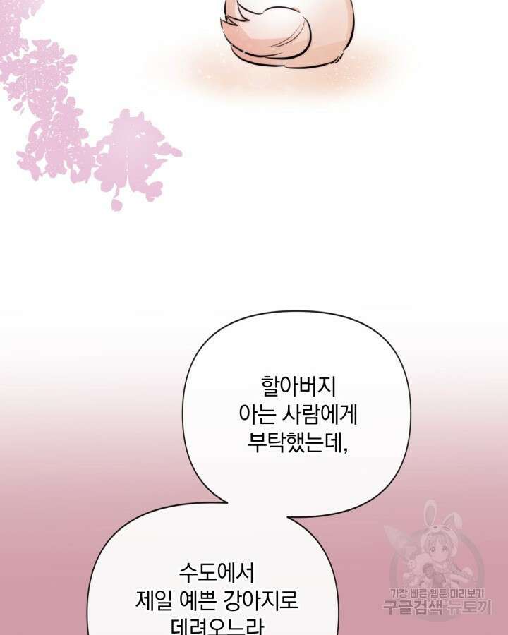 레이디 스칼렛 85화 16