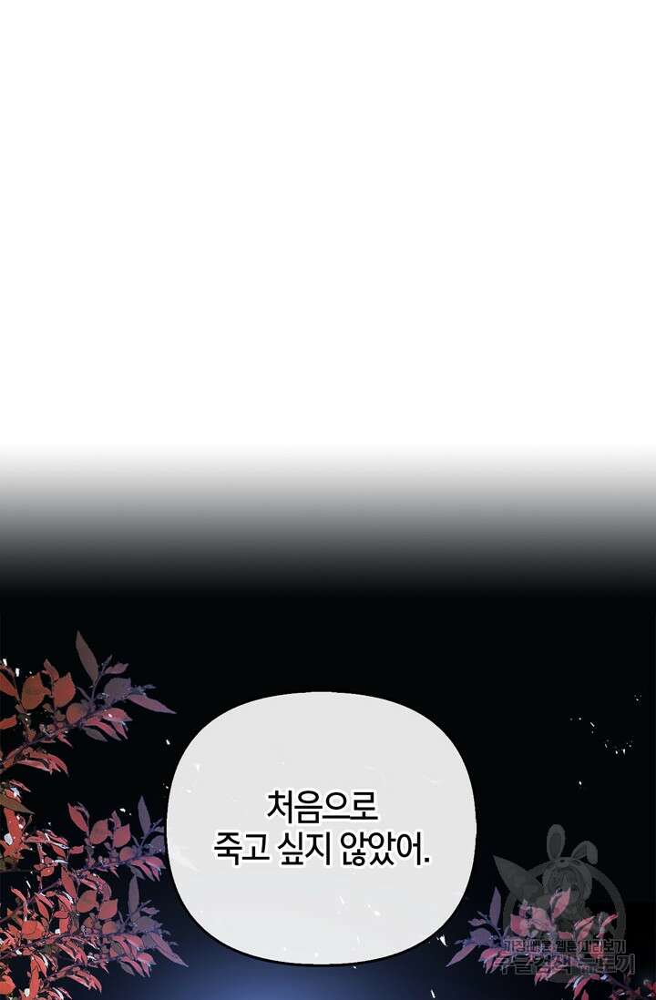 번데기 속 고양이 19화 2