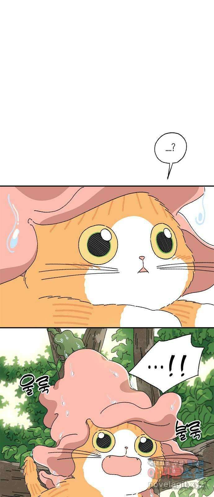 고양이 타타 20화 57