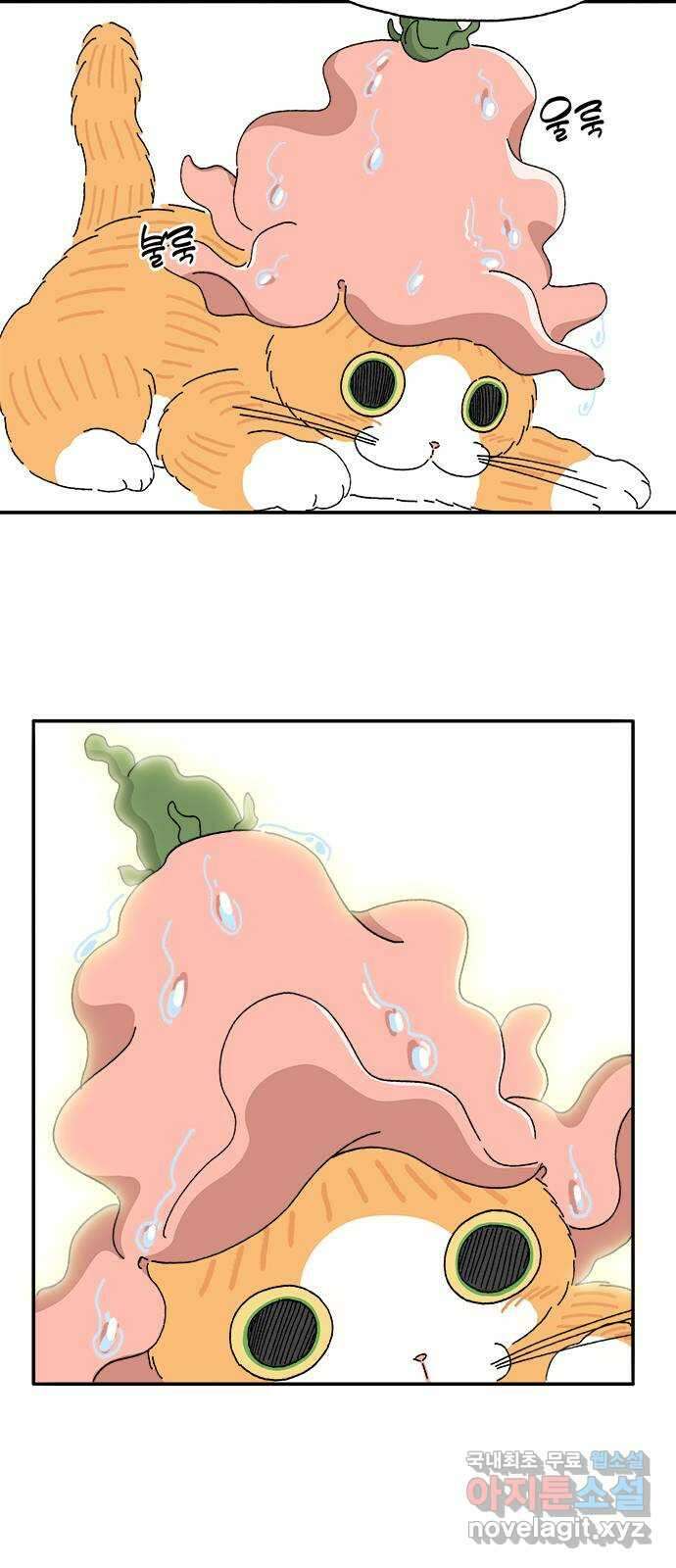 고양이 타타 20화 59