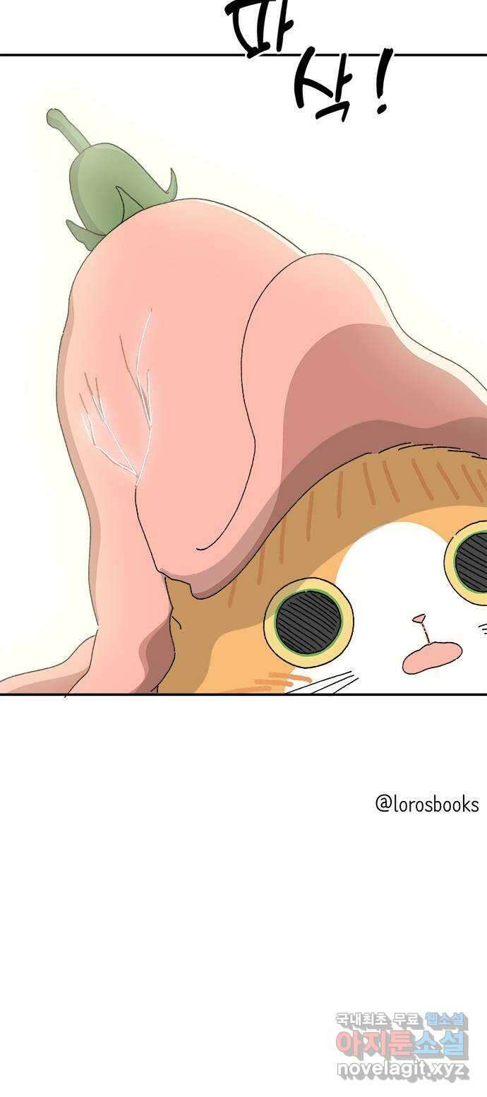고양이 타타 20화 61