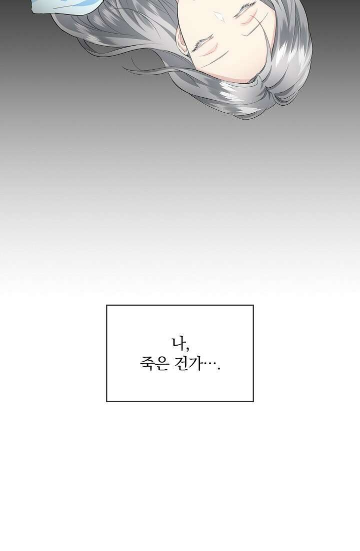 눌리타스 : 절반의 백작 영애 86화 4