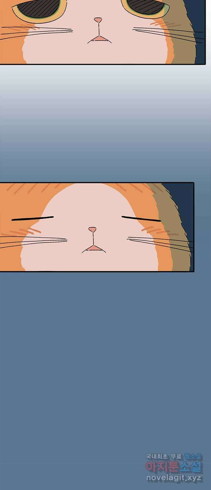 고양이 타타 21화 41