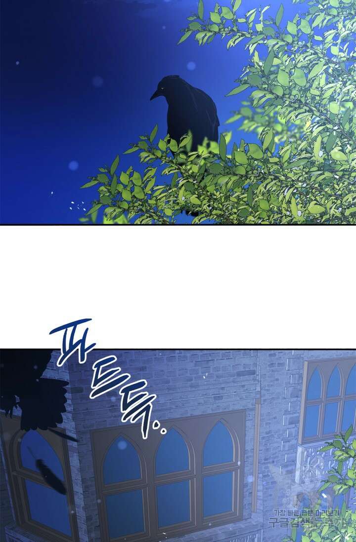 번데기 속 고양이 24화 2