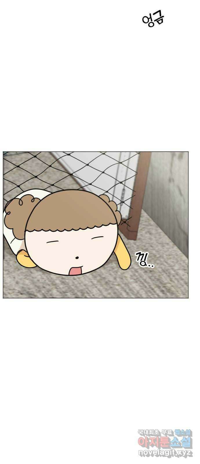 마루는강쥐 56화. 그럼 탄이는 9