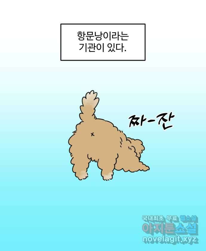 강아지는 멍멍하고 짖지 않아! 3화 - 항문낭 2