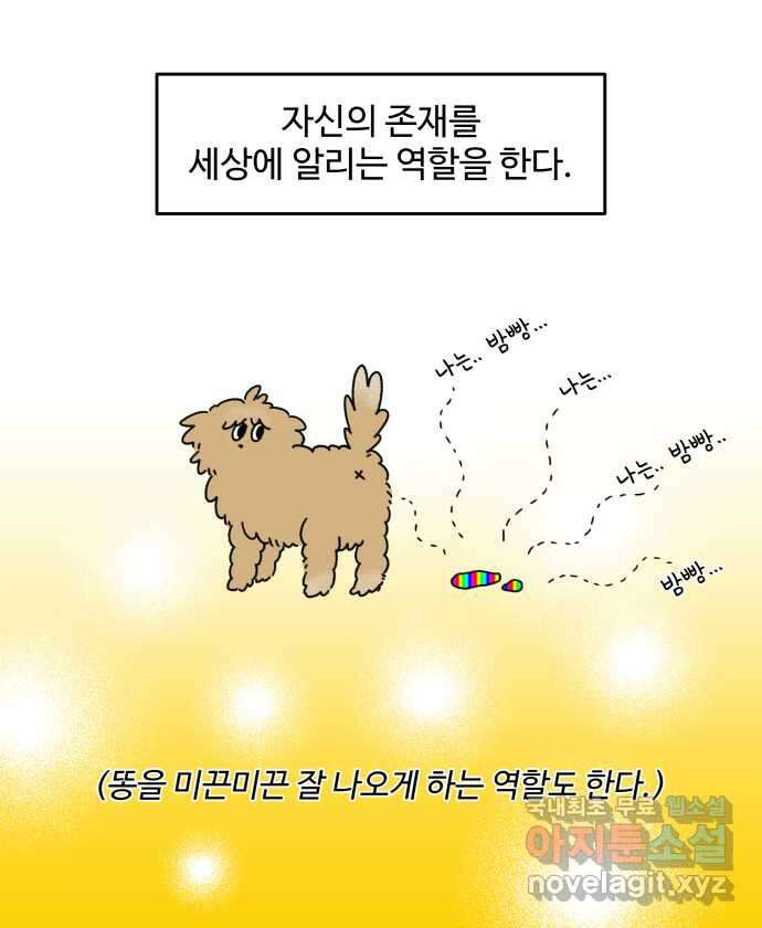 강아지는 멍멍하고 짖지 않아! 3화 - 항문낭 4