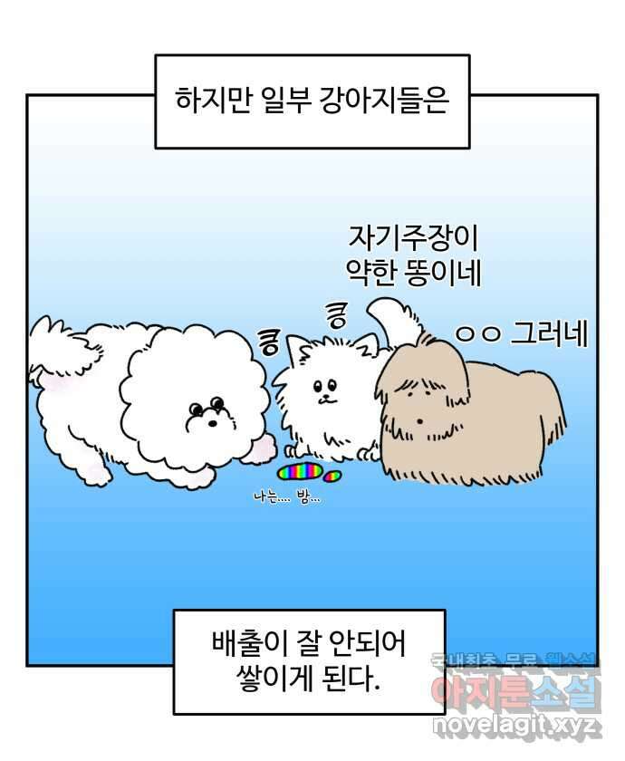 강아지는 멍멍하고 짖지 않아! 3화 - 항문낭 5