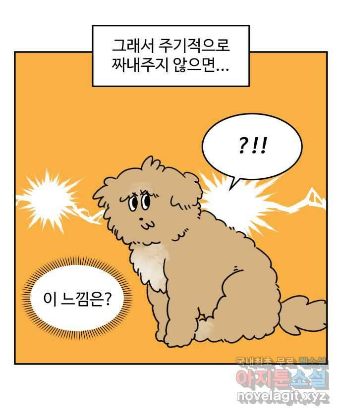 강아지는 멍멍하고 짖지 않아! 3화 - 항문낭 6