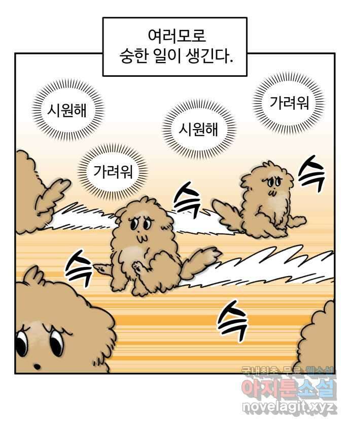 강아지는 멍멍하고 짖지 않아! 3화 - 항문낭 7