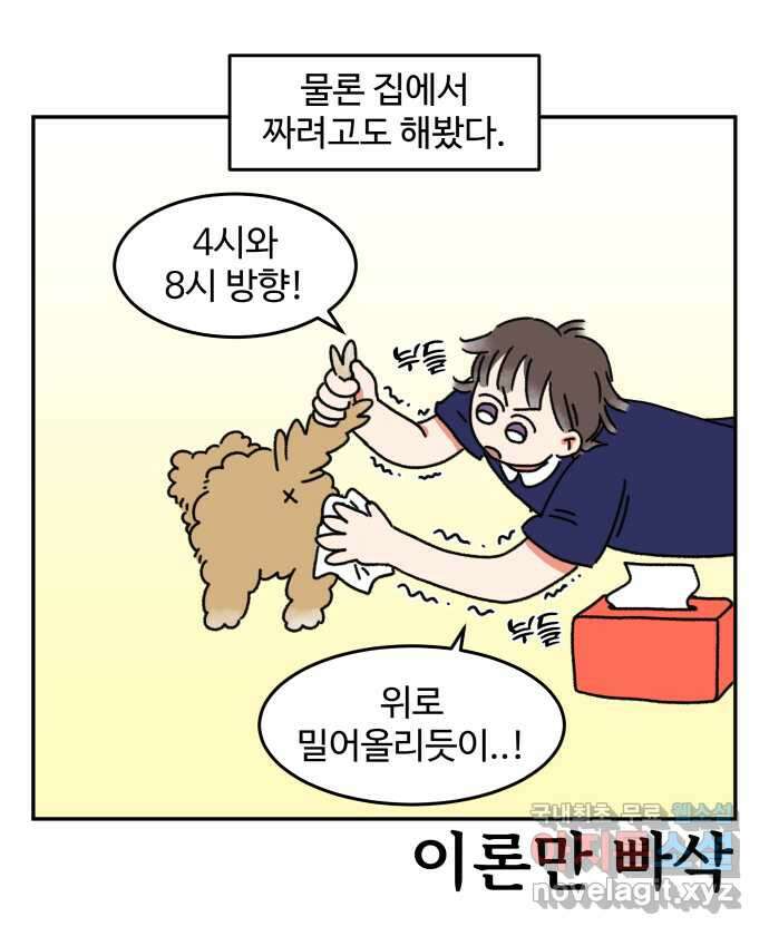 강아지는 멍멍하고 짖지 않아! 3화 - 항문낭 16